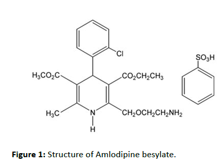 drug-development-Amlodipine