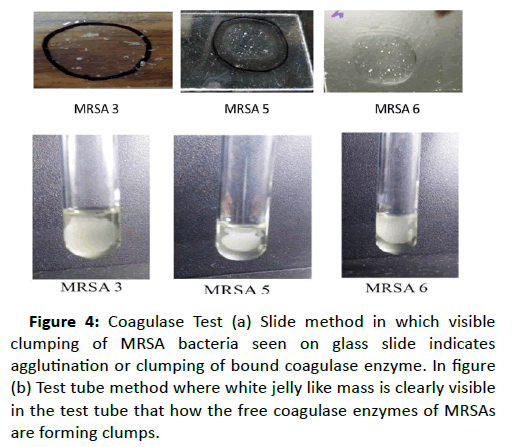 drug-development-aspera