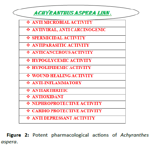 drug-development-Potent