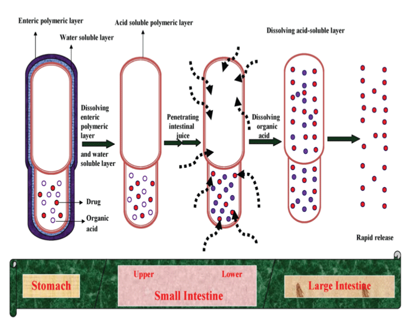 Mechanism of drug release