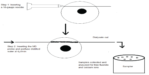 Click Here Figure 1