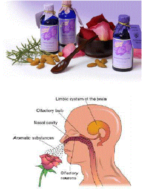 Aromatherapy