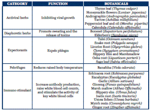 Classification